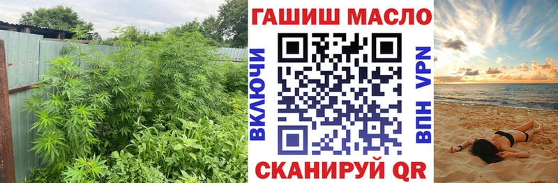 Купить  Ахтырский  Дистиллят ТГК Wax 