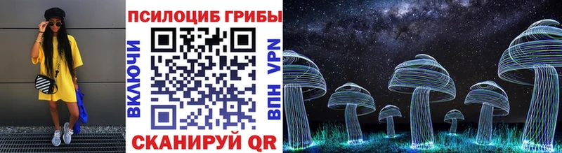 Псилоцибиновые грибы Psilocybine cubensis  Купить  Ахтырский 